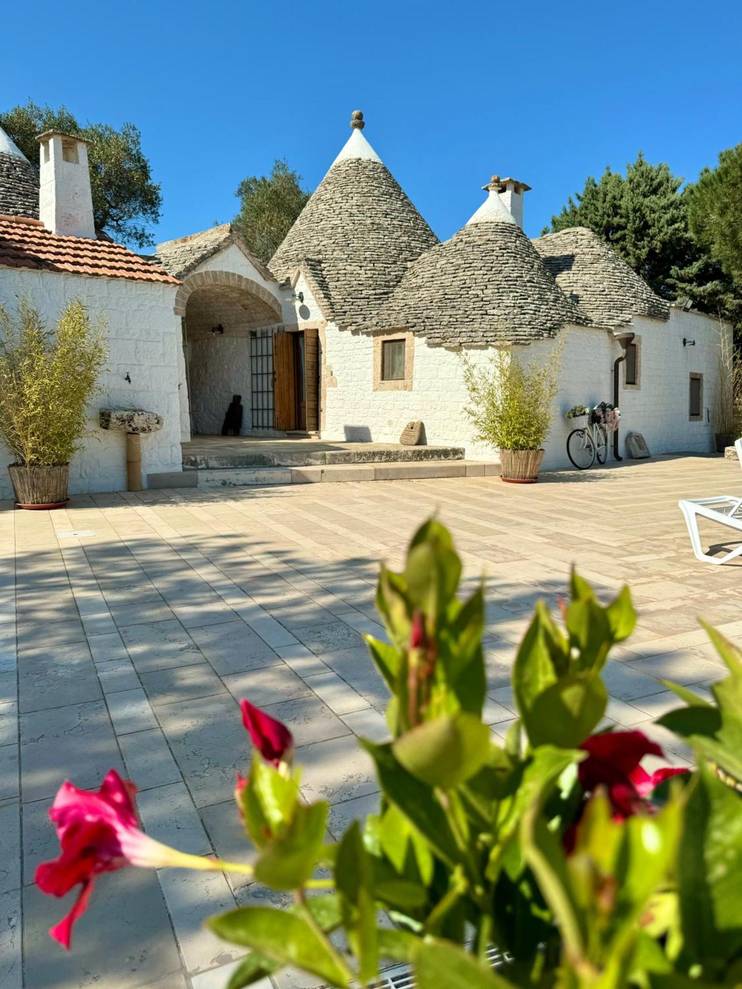 Апартаменты Trulli Bosco Selva Альберобелло Экстерьер фото